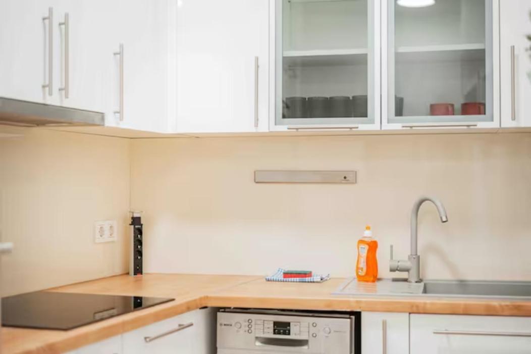 Apartments Next To Schoenbrunn - Free Parking !!! Vienna Esterno foto